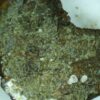 Carbonate-rich Fluorapatite