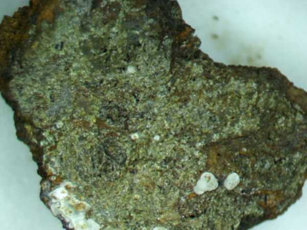 Carbonate-rich Fluorapatite