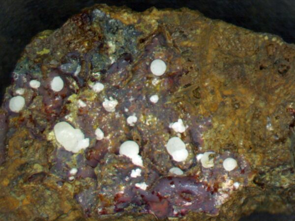 Carbonate-rich Fluorapatite - Image 2