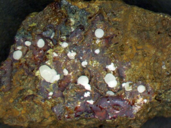 Carbonate-rich Fluorapatite - Image 11