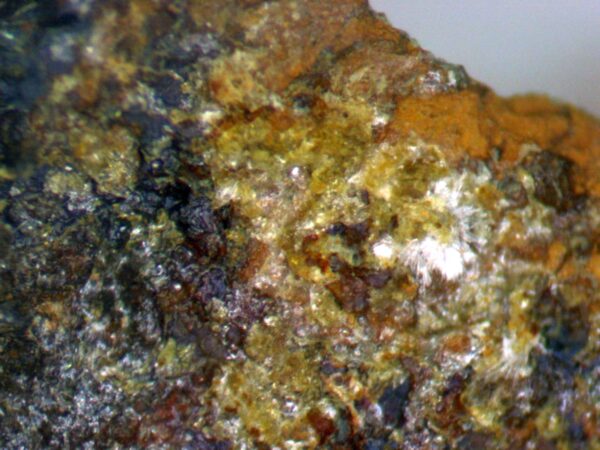 Carbonate-rich Fluorapatite - Image 2