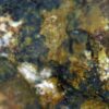 Carbonate-rich Fluorapatite - Image 9