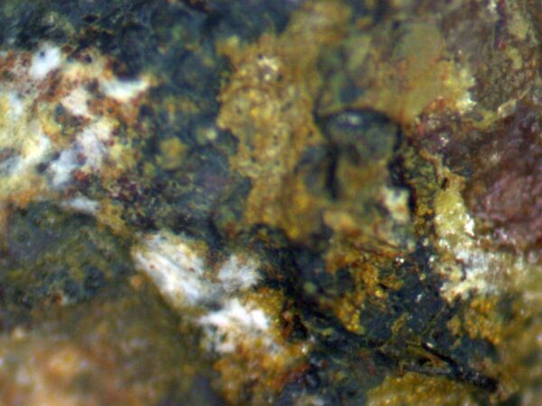 Carbonate-rich Fluorapatite - Image 9