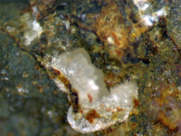 Carbonate-rich Fluorapatite - Image 8