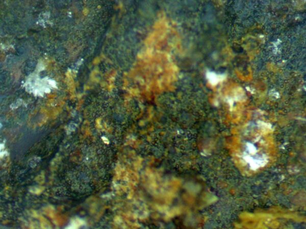 Carbonate-rich Fluorapatite - Image 7