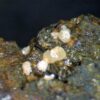 Carbonate-rich Fluorapatite - Image 5