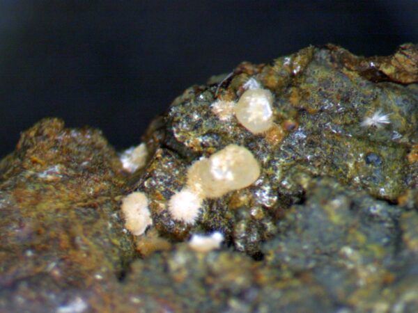 Carbonate-rich Fluorapatite - Image 5