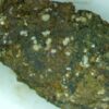 Carbonate-rich Fluorapatite
