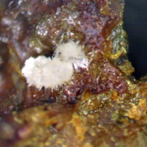 Carbonate-rich Fluorapatite