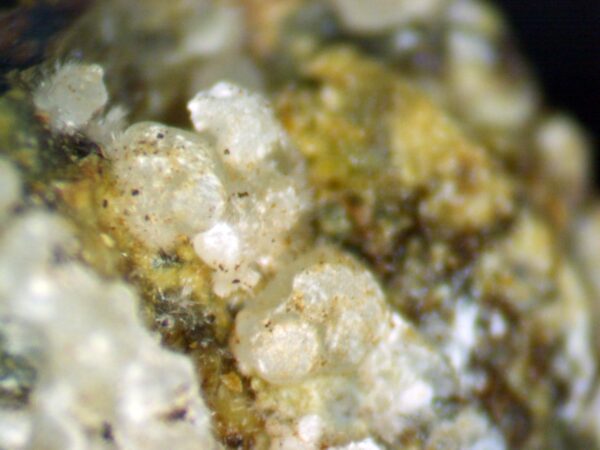 Carbonate-rich Fluorapatite - Image 5