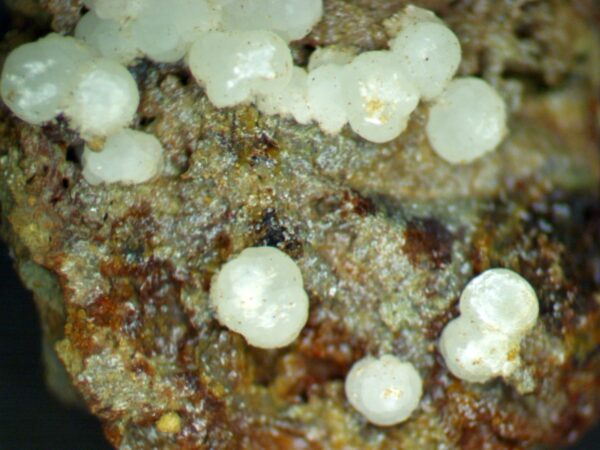 Carbonate-rich Fluorapatite - Image 5