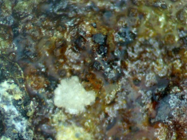 Carbonate-rich Fluorapatite - Image 7