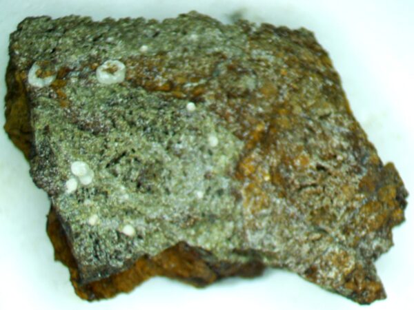 Carbonate-rich Fluorapatite - Image 4