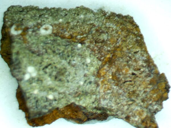 Carbonate-rich Fluorapatite