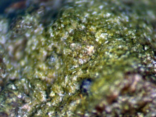 Carbonate-rich Fluorapatite - Image 8