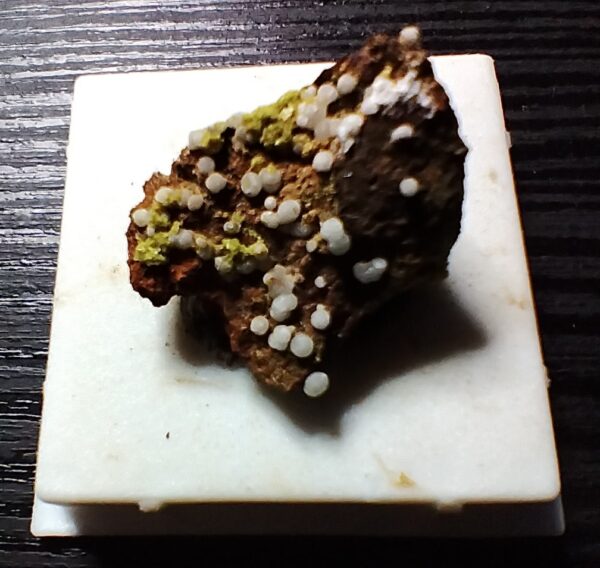 Calcioferrite, Carbonate-rich Fluorapatite