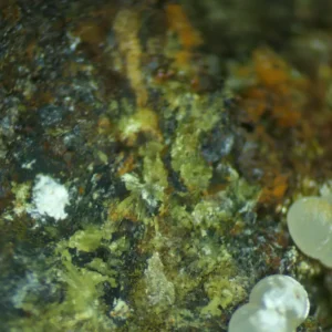 Calcioferrite, Carbonate-rich Fluorapatite