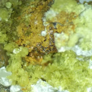 Calcioferrite