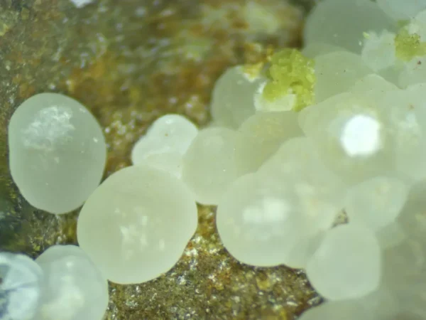 Calcioferrite - Image 4
