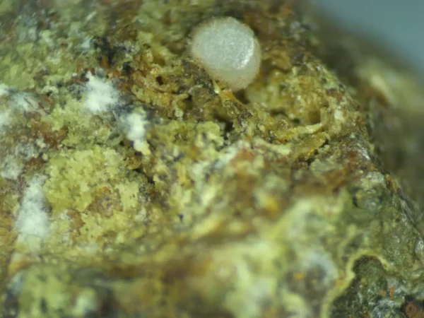 Calcioferrite - Image 6