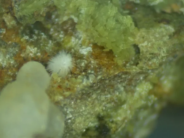 Calcioferrite, Carbonate-rich Fluorapatite