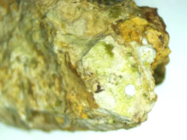 Calcioferrite, Carbonate-rich Fluorapatite