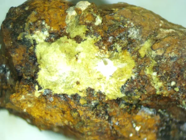 Calcioferrite