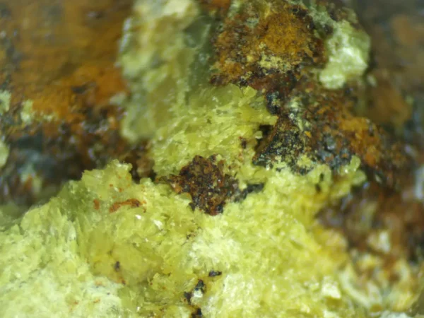 Calcioferrite
