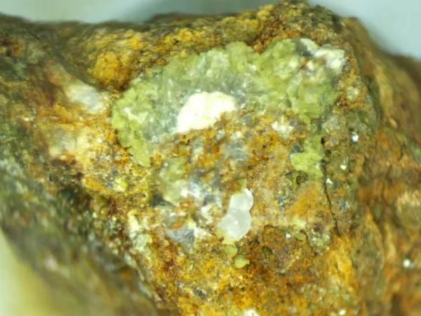 Calcioferrite, Carbonate-rich Fluorapatite
