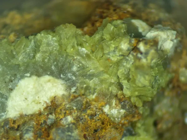 Calcioferrite, Carbonate-rich Fluorapatite