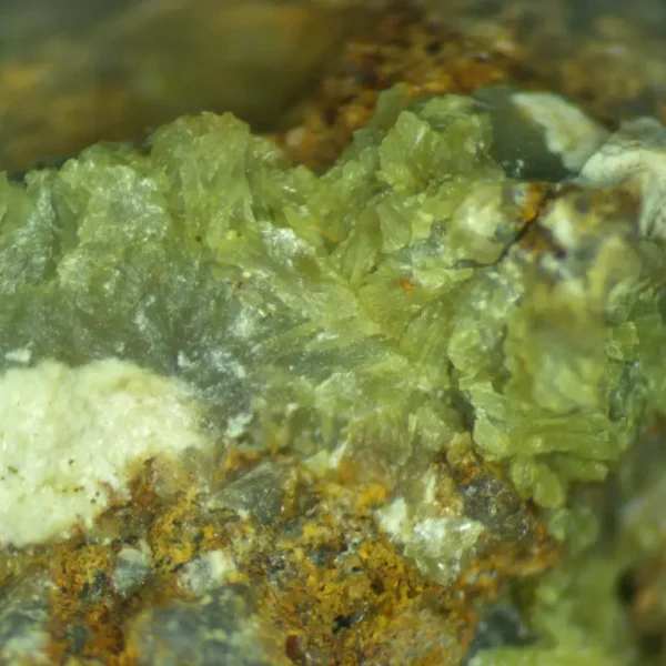 Calcioferrite, Carbonate-rich Fluorapatite