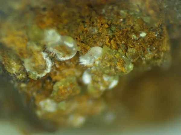 Calcioferrite - Image 3