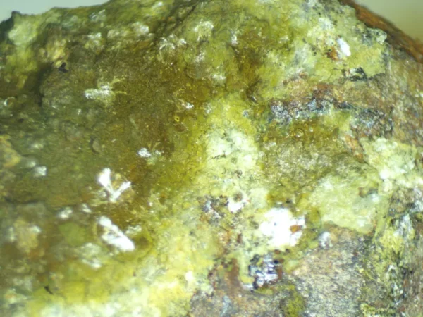 Calcioferrite