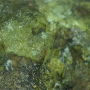 Calcioferrite