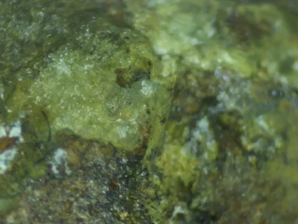 Calcioferrite