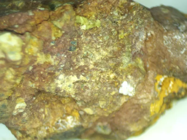 Calcioferrite, Carbonate-rich Fluorapatite