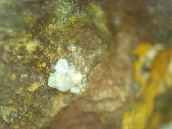 Calcioferrite, Carbonate-rich Fluorapatite