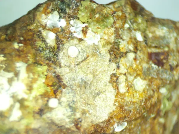 Calcioferrite, Carbonate-rich Fluorapatite