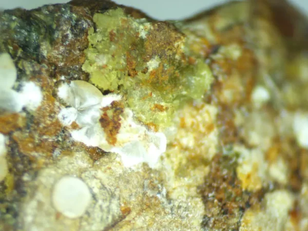 Calcioferrite, Carbonate-rich Fluorapatite