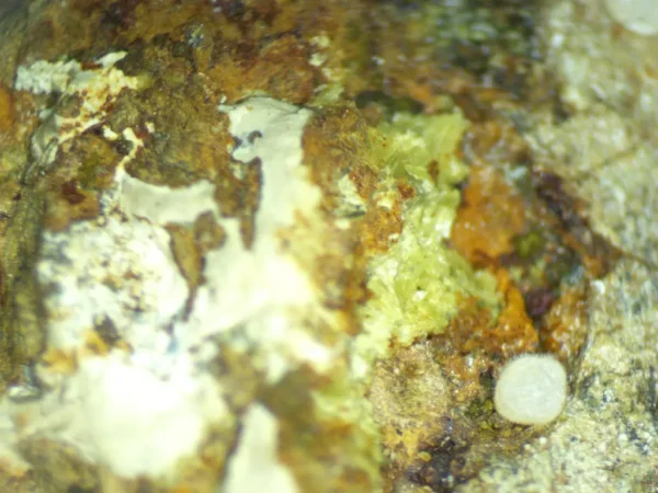 Calcioferrite - Image 5