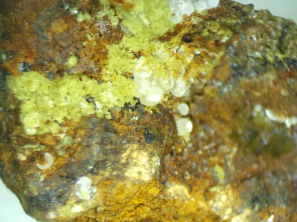 Calcioferrite