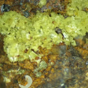 Calcioferrite