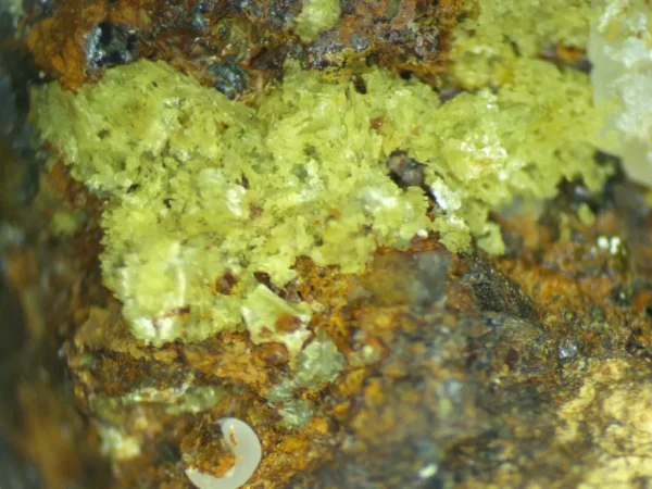 Calcioferrite