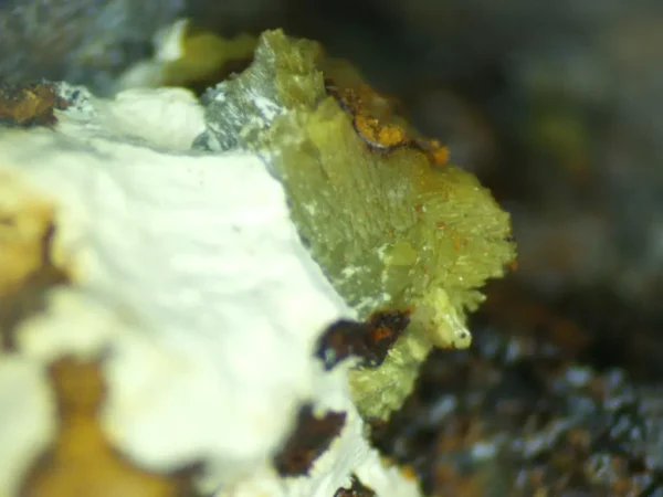 Calcioferrite