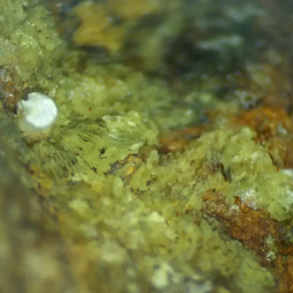 Calcioferrite, Carbonate-rich Fluorapatite