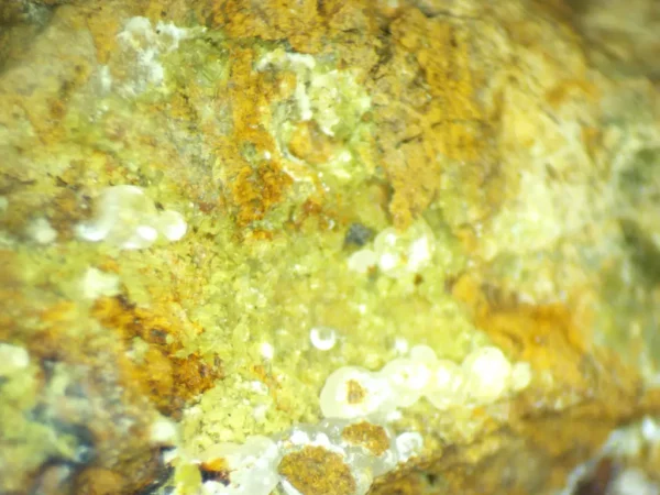Calcioferrite, Carbonate-rich Fluorapatite