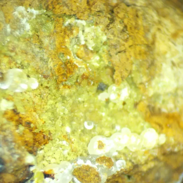 Calcioferrite, Carbonate-rich Fluorapatite