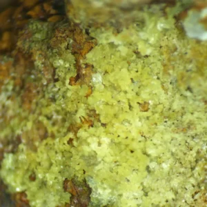 Calcioferrite