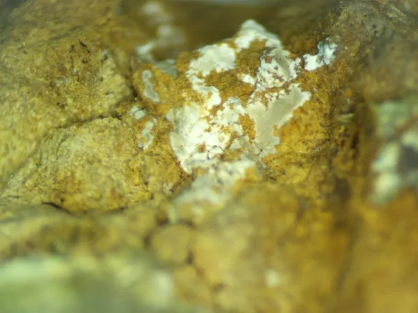 Calcioferrite