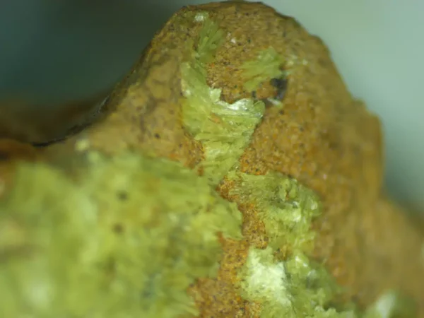 Calcioferrite